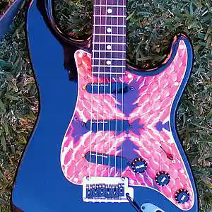 Picture for song 'Only a fool would say that' by artist 'Homoerectus (AUS)'