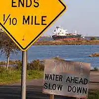 Picture for song 'Slo Mo Nantucket Man: Withers Away' by artist 'paul gorman and the hypnotist collectors'