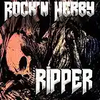 Picture for song 'Dark Side Of Life' by artist 'Rock'n Herby'