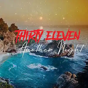 Picture for song 'Another Night **Tropical House Vibes**' by artist 'ThirtyEleven'