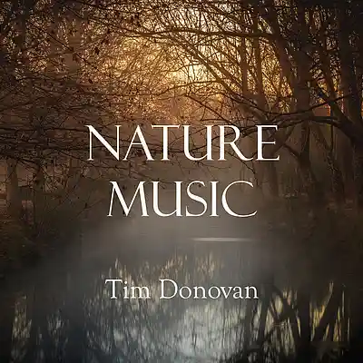 Picture for song 'Woodlands' by artist 'Tim Donovan'