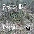 Picture for song 'Ancient Fields' by artist 'Tony Seo'