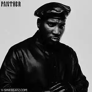 Picture for song 'Panther (Buy 1 Get 1-3 FREE)' by artist 'V-Sine Beatz'