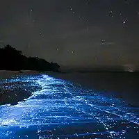 Picture for song 'Bitter End' by artist 'Alana Joy Bailey'