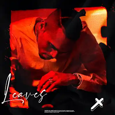 Picture for song '"Leaves" - rnb / justin bieber / chris brown' by artist 'Alexx Melo'