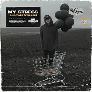 Picture for song 'My Stress' by artist 'BITODELNYA'