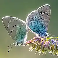 Picture for song '03 Track 3 symph 774 in 3 movements cd 270' by artist 'FranklinEMorris'