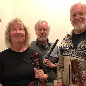 Picture for song 'Valborgpolskan' by artist 'Confluence Ensemble'