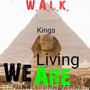 Picture for song 'walk' by artist 'Nattural Born Terror (NBT)'