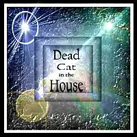 Picture for song 'The Cat Died - It's In the House Somewhere' by artist 'Numi Who'