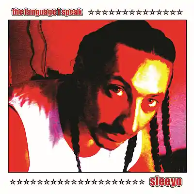 Picture for song 'way back' by artist 'sleeyo'