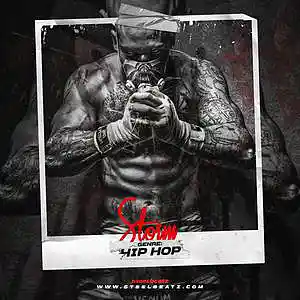 Picture for song 'STORM 160 BPM' by artist 'Beats on SteelBeatz.com'