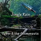 Picture for song 'Jungle Rain' by artist 'Xybor'