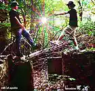 Picture for song 'Lord So Frighten' by artist 'Cult of Apollo'