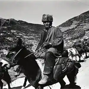 Picture for song 'Tibet' by artist 'dawa'