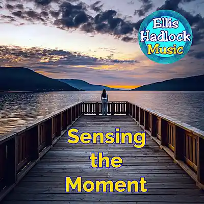 Picture for song 'Sensing the Moment' by artist 'Ellis Hadlock'
