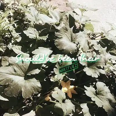 Picture for song 'should've been their' by artist 'MikiTuez'