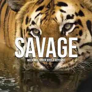 Picture for song 'Savage - Meek Mill x Royce 59 x Rick Ross' by artist 'Noise The Wizard'