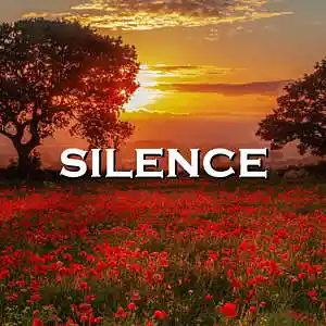 Picture for song 'Silence' by artist 'SadGlad Music'