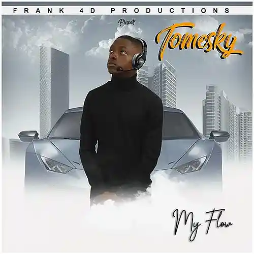 Picture for song 'ALL EMOTIONS' by artist 'TOMESKY'