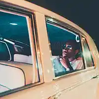 Picture for song 'Fraud' by artist 'THE TRILL'