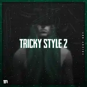 Picture for song '"Tricky Style #2" Timbaland type beat' by artist 'Tricky Boy'