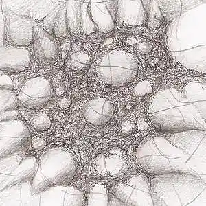 Picture for song 'Scratch my itch' by artist 'Walter de Jong'