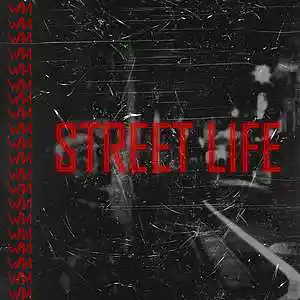 Picture for song 'STREET LIFE Soft Rap Type Beat' by artist 'WM-Producer'