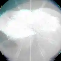 Picture for song '4.prehallelujah chorus wip' by artist 'BGN'