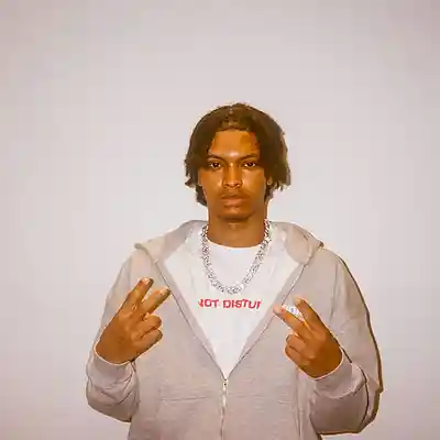 Picture for song 'painkiller' by artist 'Icettack'