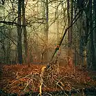 Picture for song '(SOLD) Until the End (Promo)' by artist 'Jurd Beats'