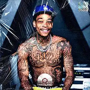 Picture for song 'CHOICE - (Wiz Khalifa Type Beat, Berner Beat)' by artist 'Paweland Beats'