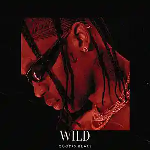 Picture for song 'Wild Travis Scott type beat dark Trap type beat' by artist 'Quodis'