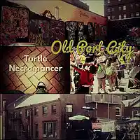 Picture for song 'Old Port City' by artist 'Turtle Necromancer'