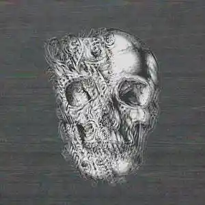 Picture for song 'Show' by artist 'W00dy'