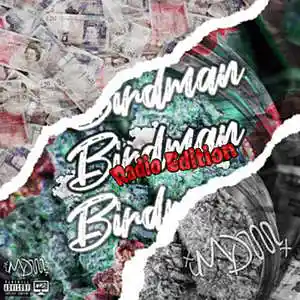 Picture for song 'Birdman - Clean Edit - v1' by artist 'xMDx'