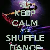 Picture for song 'Shuffle This!' by artist 'BASSOTRONICS'
