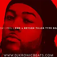 Picture for song 'How I Feel (BUY 1 GET 1 FREE)' by artist 'DJ Kronic Beats'