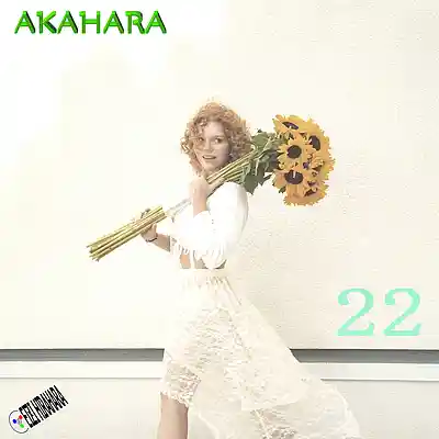 Picture for song 'AKAHARA 22' by artist 'Eizi Hirahara'