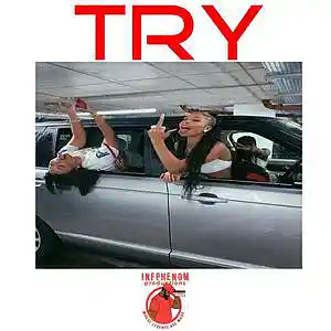 Picture for song 'Try(4 FOR $25)(5 UNLIM $100) Detroit Type' by artist 'InfPhenom'