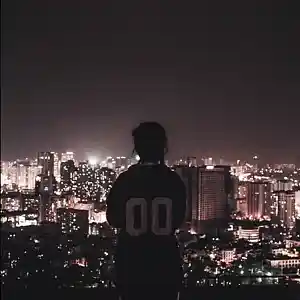 Picture for song '99 Problems' by artist 'JCaspersen'