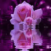 Picture for song 'Darling of Love' by artist 'Johanna Renfro'