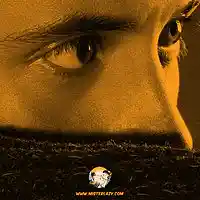 Picture for song 'MILLION EYEZ (FREE)' by artist 'Mister Lazy'