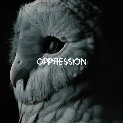Picture for song 'Oppression' by artist 'Ryan'