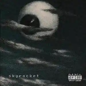 Picture for song 'The Looks' by artist 'skyroc'