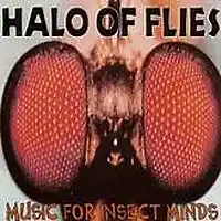 Picture for song 'HOF -gtr2' by artist 'The Billy Shears Experience'