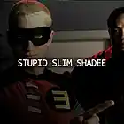 Picture for song '~ Stupid Slim Shadee ~' by artist 'The Track Gods'