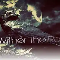 Picture for song 'American zombie' by artist 'Wither the Raven'