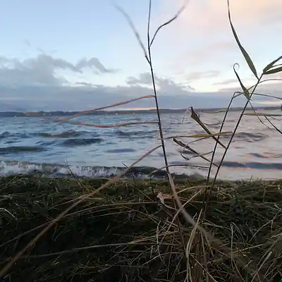 Picture for song '20241208_153748YOUnotCRAZY_FS_1' by artist '786 scheint-Al'lahs Bande'