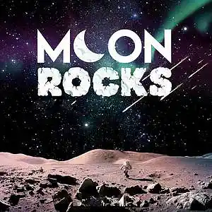 Picture for song 'MOON ROCKS' by artist 'AllStar J Productions'